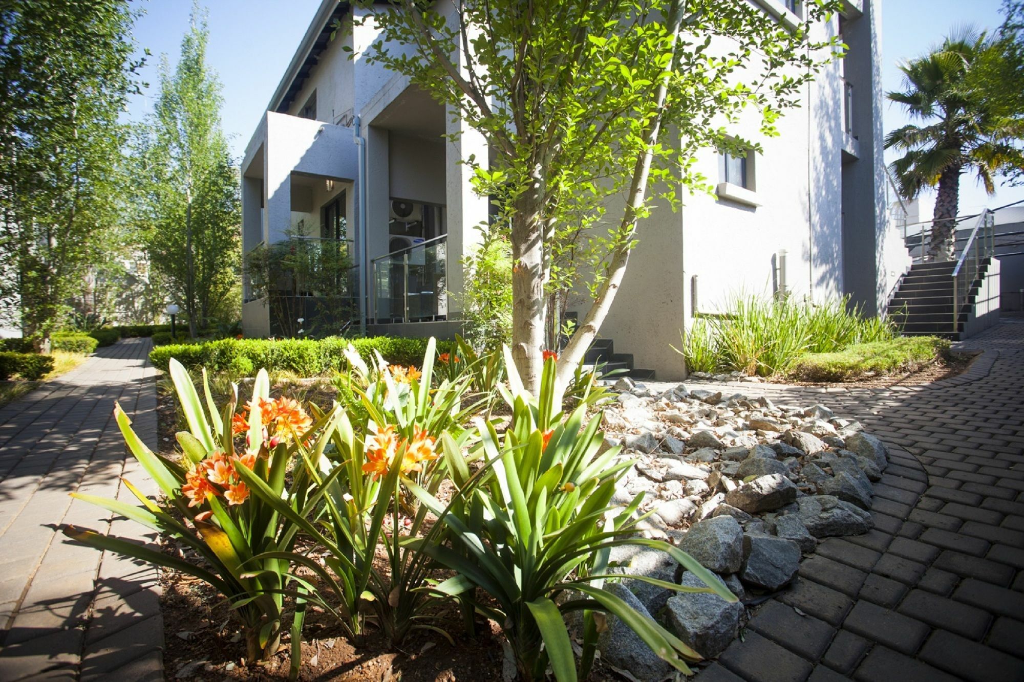 S Villa Moyal Executive Apartamento y Suites Johannesburgo Exterior foto